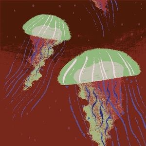 Meet your Posher, Arielle